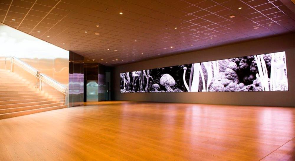 Equinor Art Programme