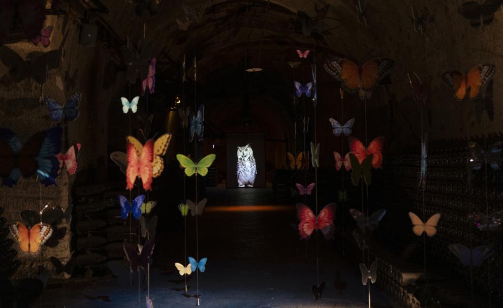 EXPERIENCE POMMERY #18 MELODIES EN SOUS-SOL