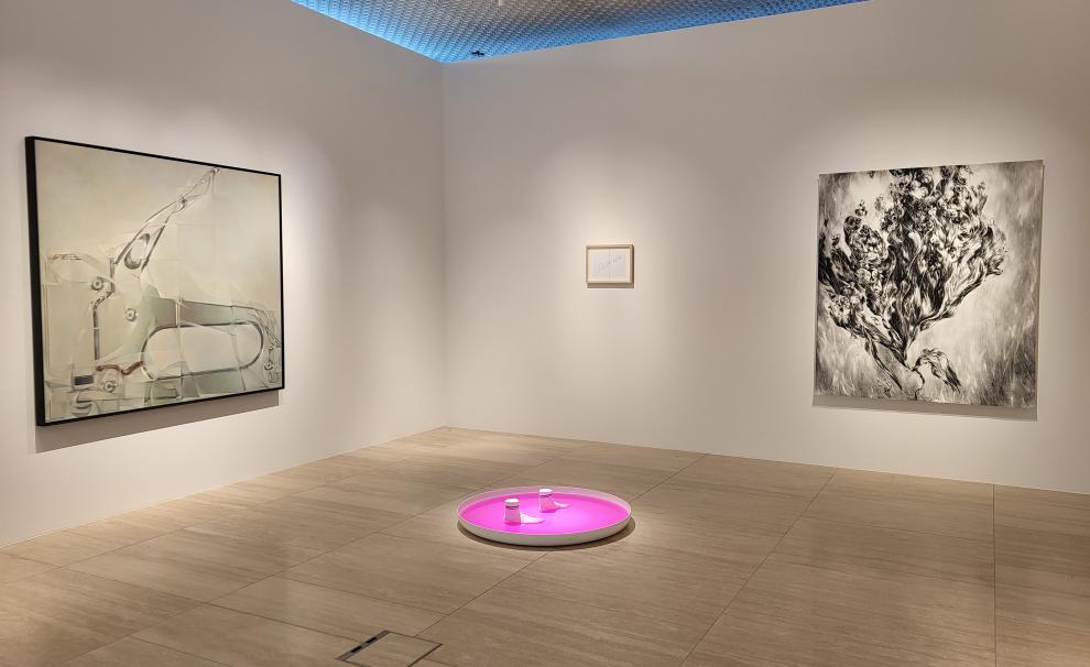 Guided Tour with Curator Simmy Swinder Voellmy