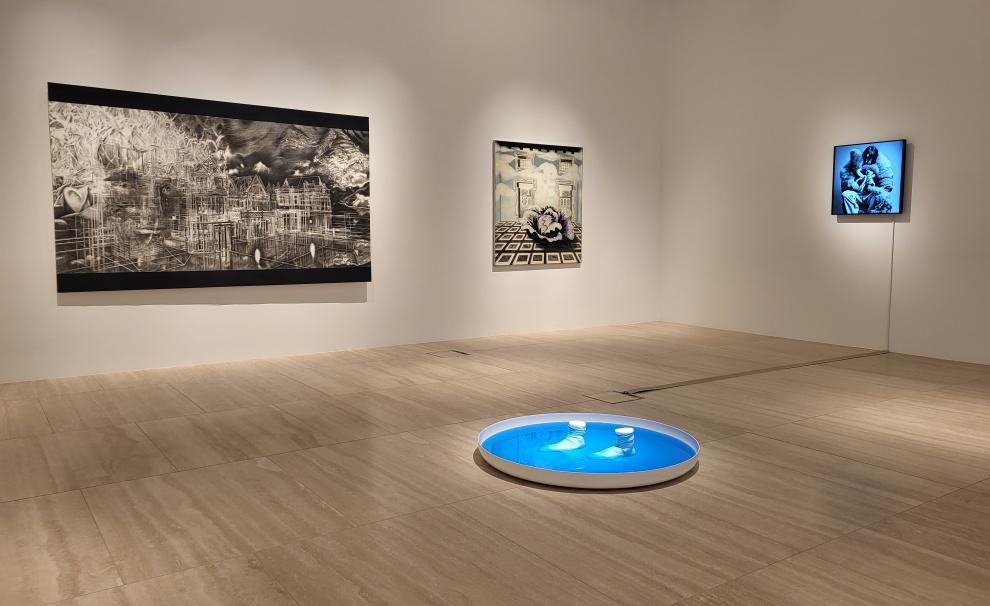 Guided Tour with Curator Simmy Swinder Voellmy