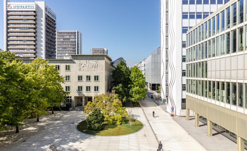 Novartis Art Collection