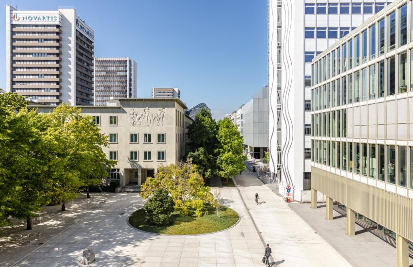 Novartis Art Collection