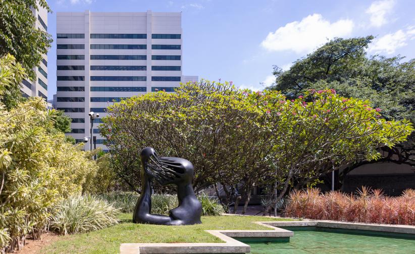 Itaú Bank Collection